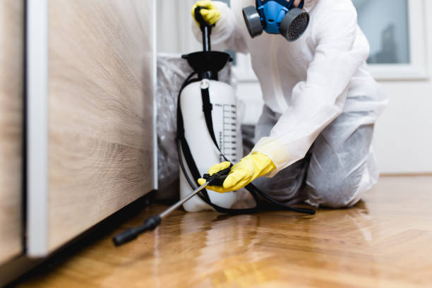 Best Best Pest Control Companies  in Sausalito, CA