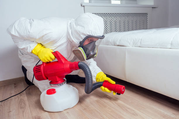 Best Affordable Pest Control Services  in Sausalito, CA