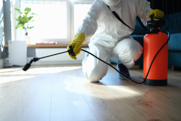 Professional Pest Control in Sausalito, CA