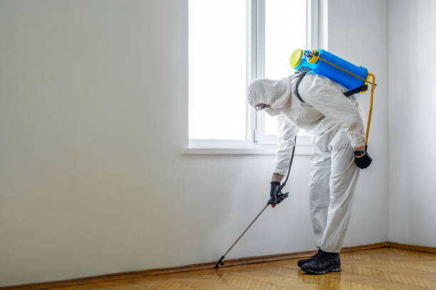 Best Cockroach Control Services  in Sausalito, CA