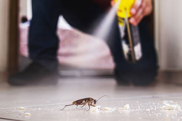 Best Commercial Pest Control Services  in Sausalito, CA
