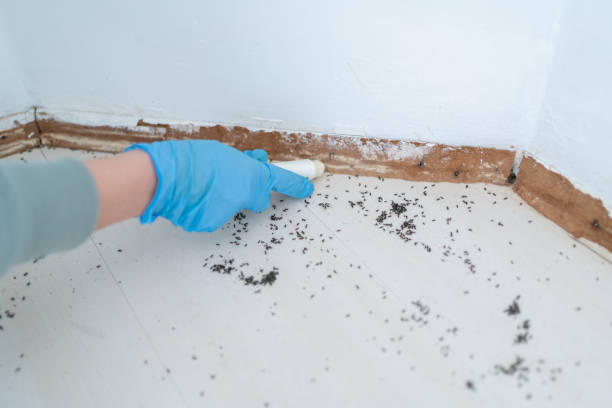 Best Pest Prevention Services  in Sausalito, CA